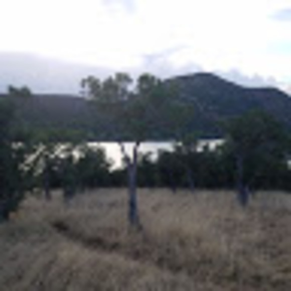 millerronk